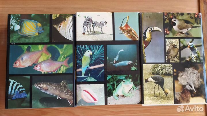 Иллюстрированные энциклопедии животных, птиц, рыб