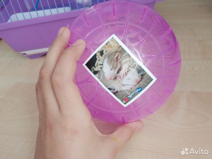 Шар для грызунов сирийских