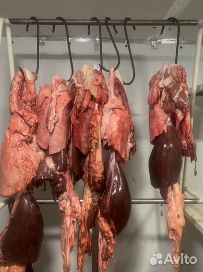 Мясо для собак и кошек. натуральный корм