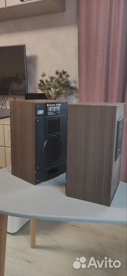 Radiotehnika s30b