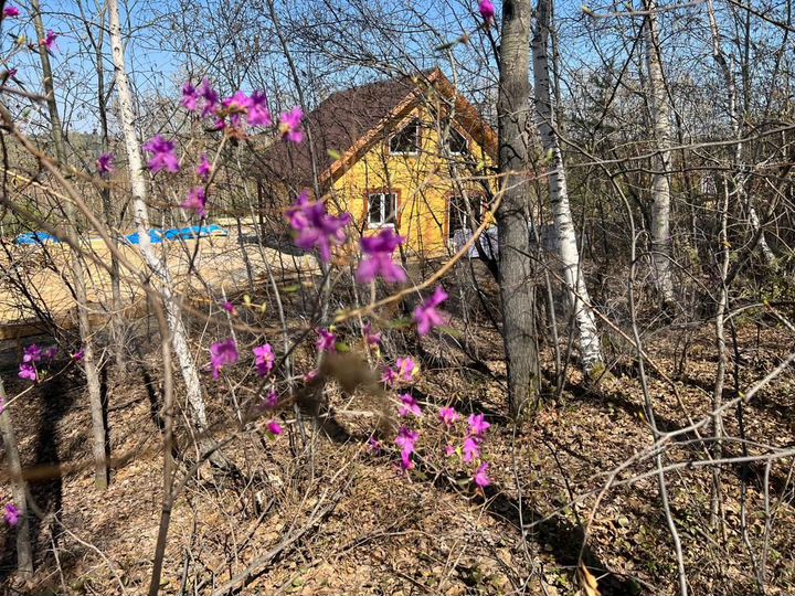 Дом 135 м² на участке 8 сот.