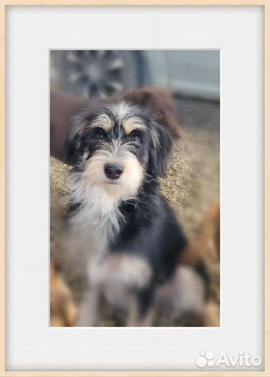 Мелкая девочка в добрые руки