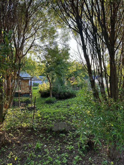 Дом 48,9 м² на участке 14 сот.