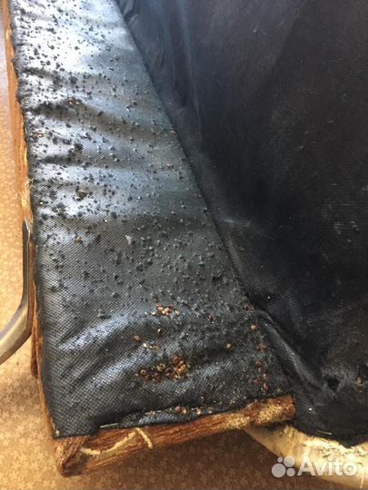 Уничтожение тараканов, клопов, блох, грибка