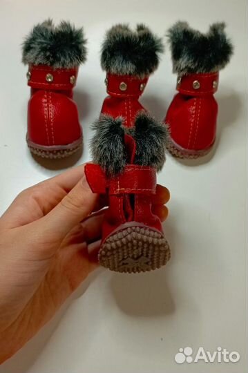 Ботиночки для мелких пород собак