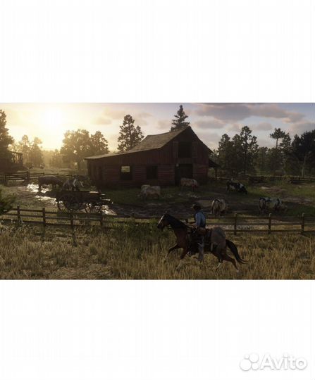 Red Dead Redemption 2 игра на ps4, ps5