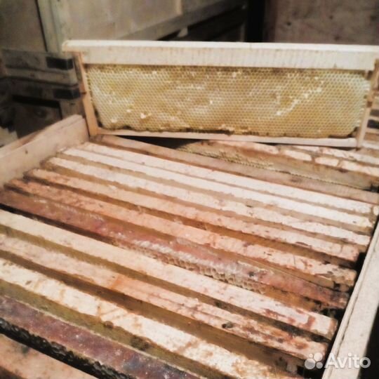 Рамка сушь для пчел
