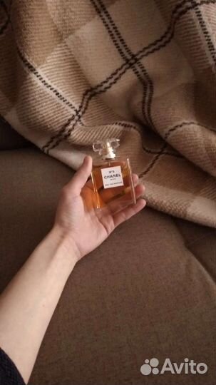 Чистка ковров. Купон на скидку. Коврочист