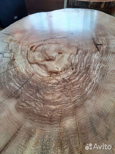 Поперечные спилы ясеня и дуба