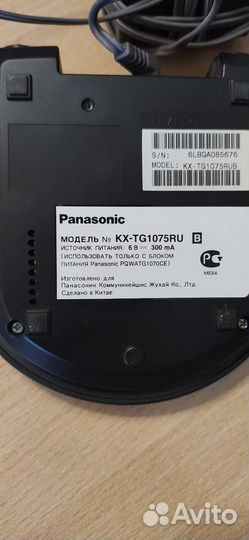 Panasonic
