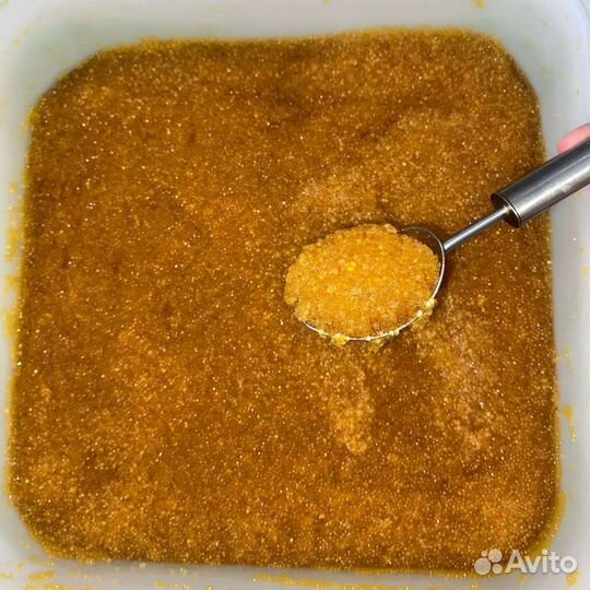 Икра щуки вылов май 2024г