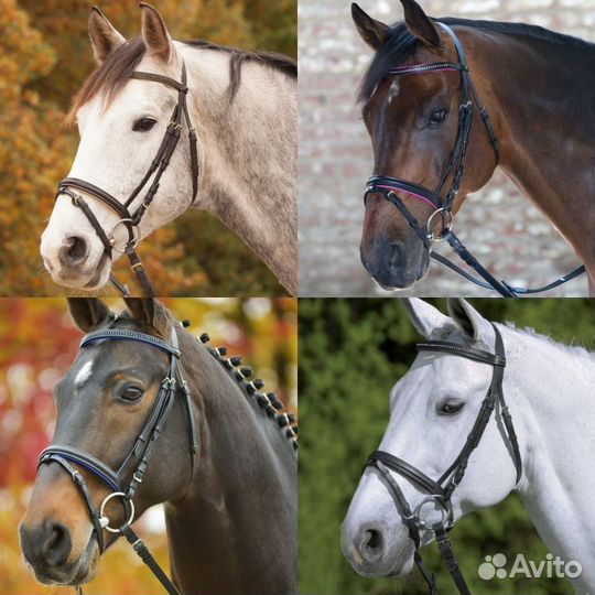 Конная амуниция,Экипировка для всадника