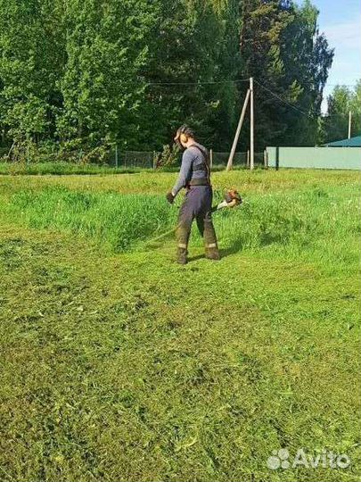 Покос травы, расчистка участков, спил деревьев