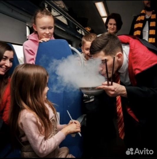 Поезд Гарри Поттер/Магический Экспресс