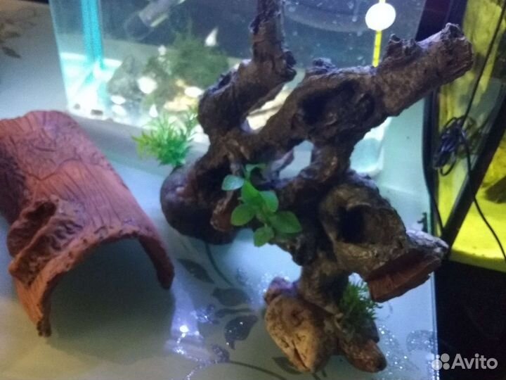 Компрессор, Гроты, растения, ножницы, фон самоклею