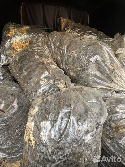 Удобрение, грибные блоки