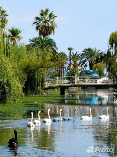 Экскурсии в пещеры 