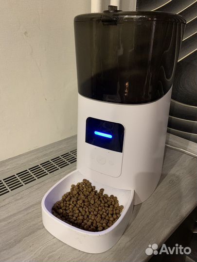 Автокормушка для кошек и собак