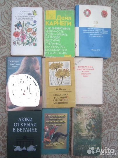 А.И. Ульянова. Детские и школьные годы Ильича. Рис