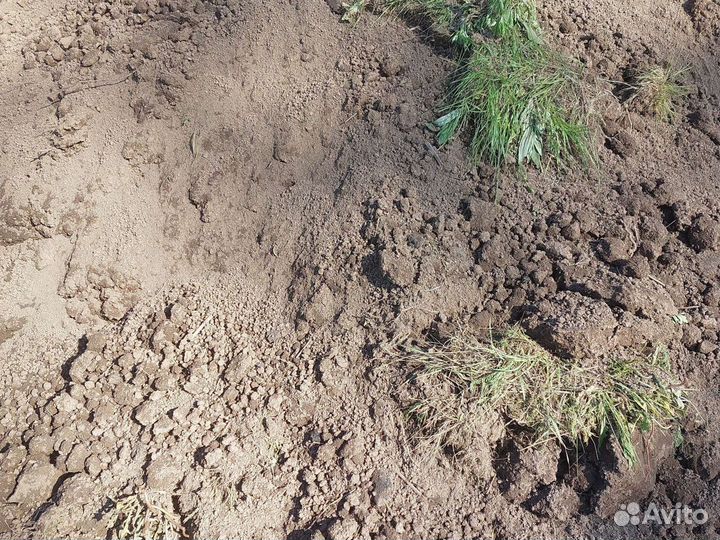 Доставка плодородного грунта