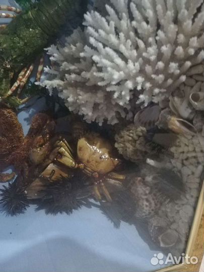 Аквариум искуственный