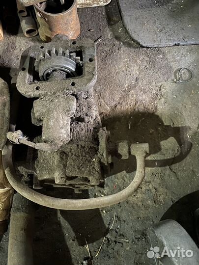 Коники лесовозные