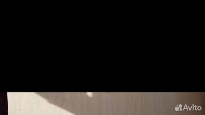 Молокоотсос ncvi двойной