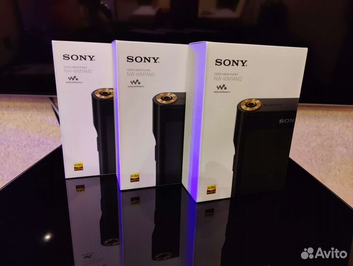 Sony walkman NW-wm1am2