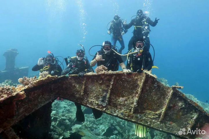 Дайвинг Адлер