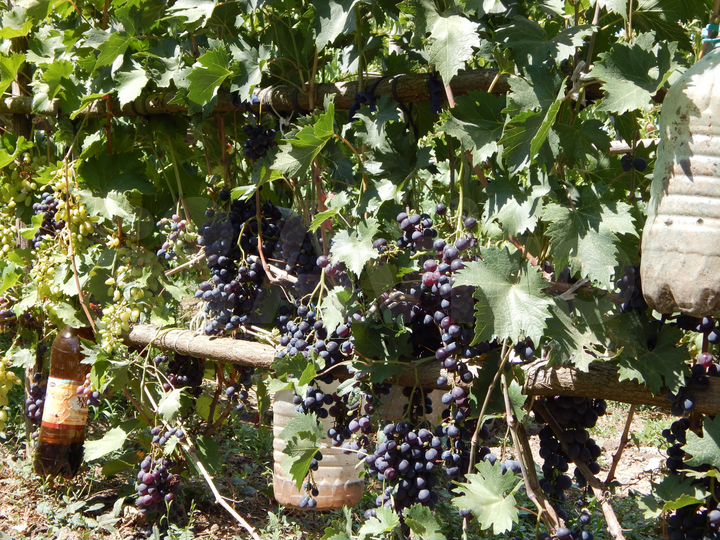 Дом 70 м² на участке 30 сот.