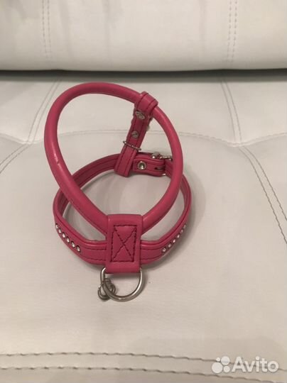 Товары для собак и кошек