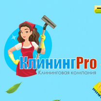 Готовый бизнес на Клининге и Химчистке