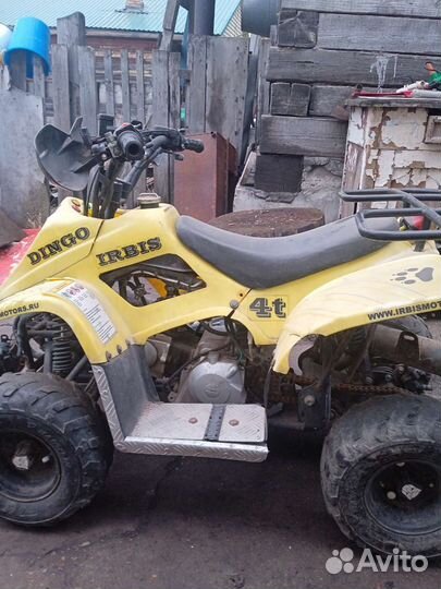 Квадрацыкл