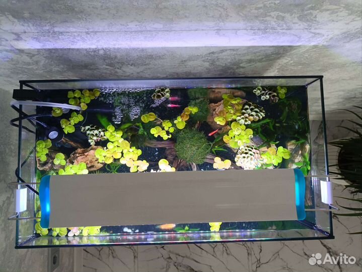 Аквариум готовый