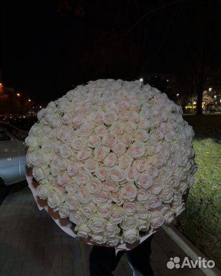 101 роза/букеты из роз