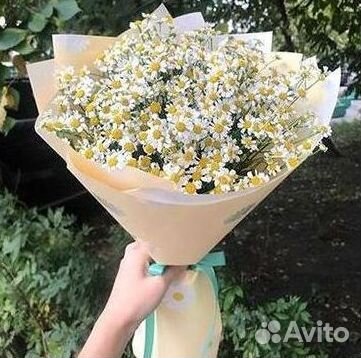 Букеты. Доставка ромашек