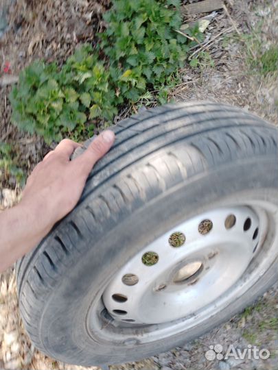 Nokian birdman x2