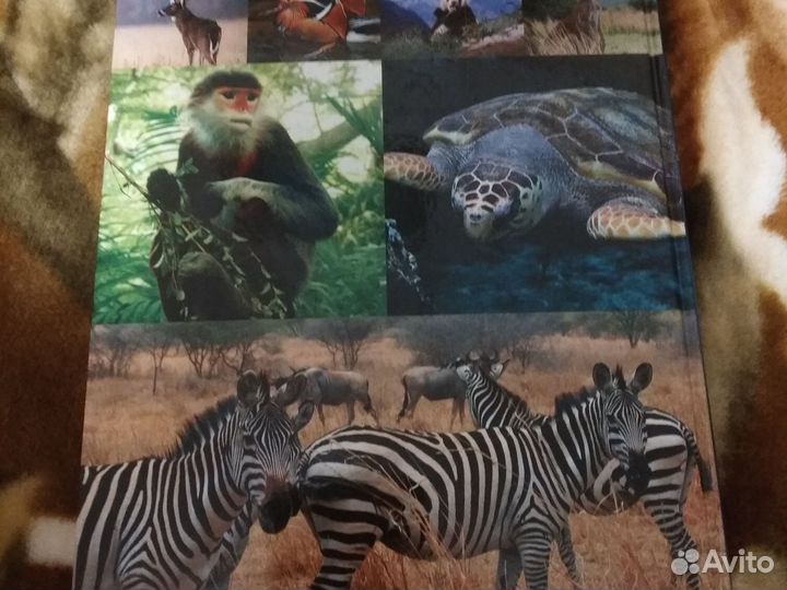 Познавательна книга для детей 5 лет