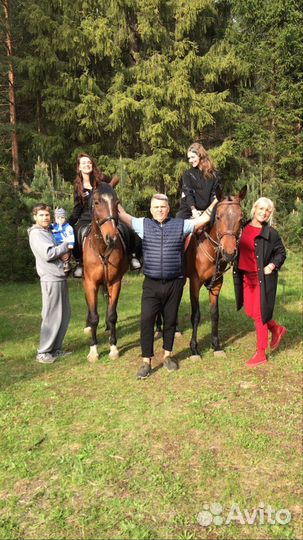 Конные прогулки