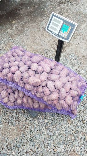 Продам картофель с доставкой