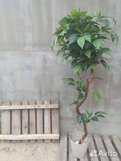 Искусственные деревья