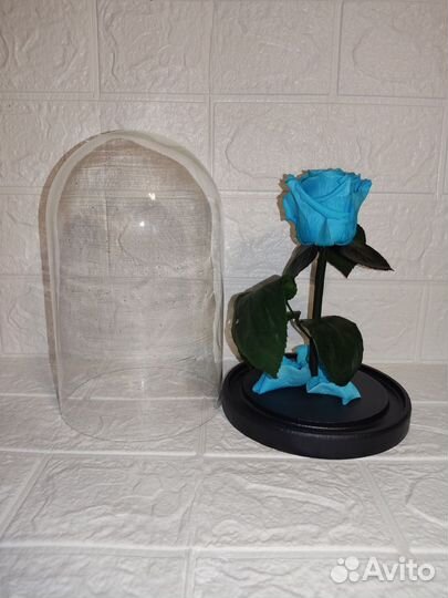 Роза в колбе отличный вариант подарка