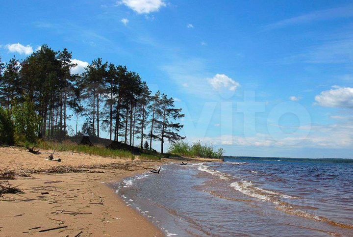 Дача 58 м² на участке 50 сот.