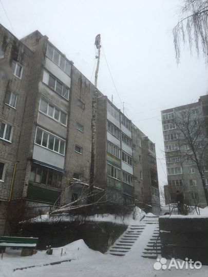 Спил аварийных деревьев
