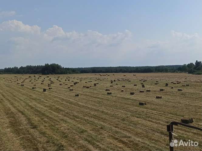 Сено в рулонах