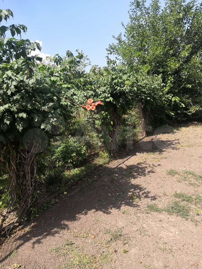 Дом 62 м² на участке 19 сот.