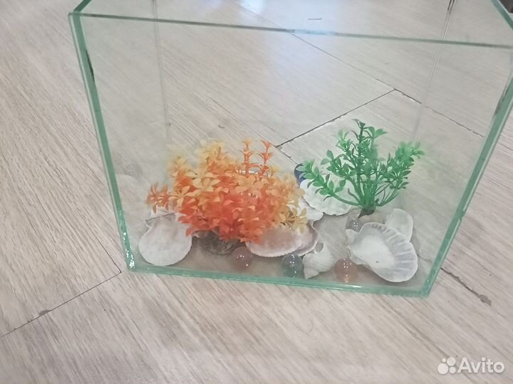 Аквариум