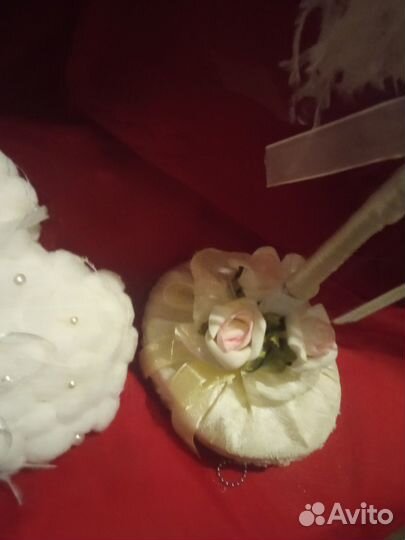 Ручка перо для выездной регистрации