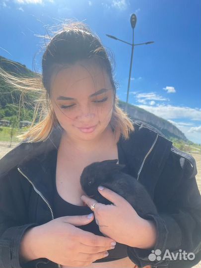 Домашняя передержка