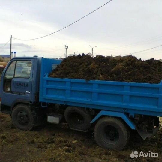 Конский навоз